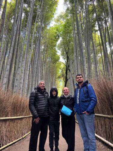 bambooforest