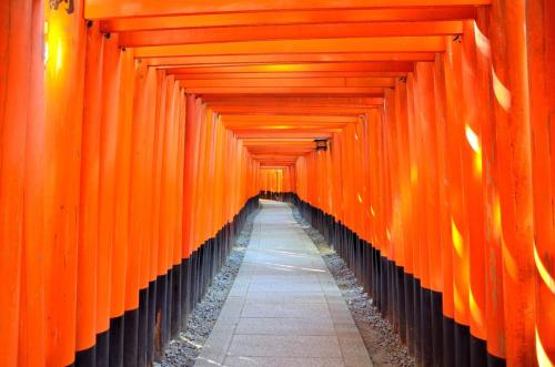 The thousand torii gates of Fushimi Inari Shrine in Kyoto