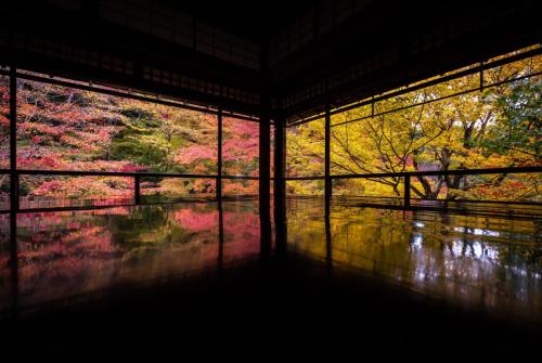 Autumn leaves reflected on the water surface