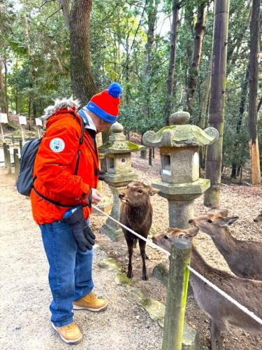 nara001_deer_and_men004_edit