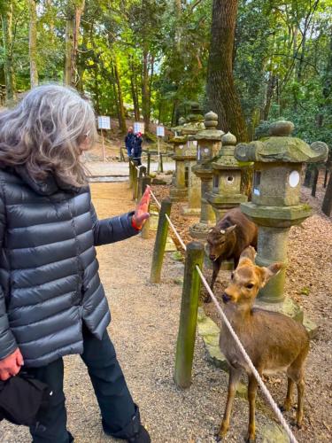 nara001_deer_and_women001_edit