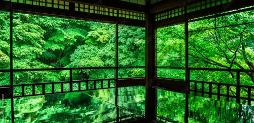 Beautiful fresh greenery